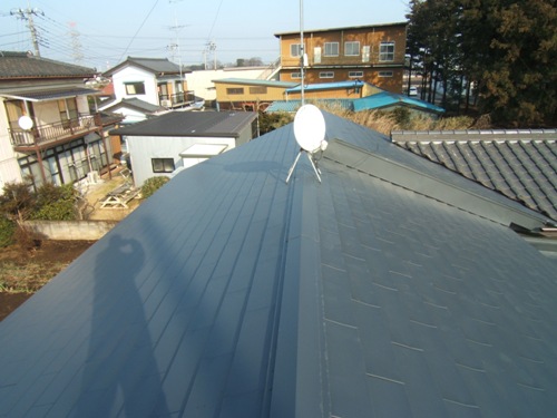 b10320e5.jpg