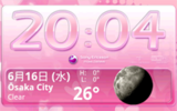 10061606