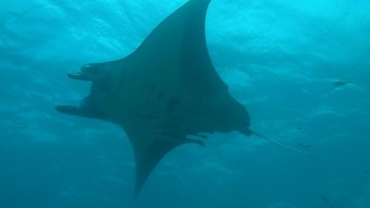 11888038_1180535901973631_214942111720164118_n