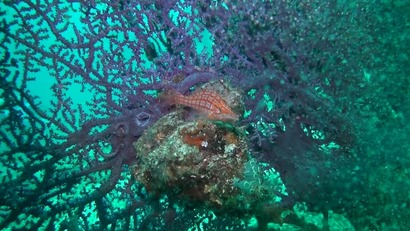 12009760_1201903456503542_4369499615359430797_n