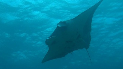 11899789_1180535915306963_2178296429406329962_n