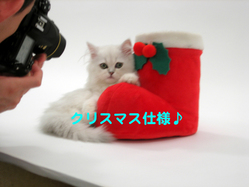 DSCN2378