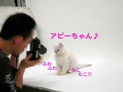 DSCN2371