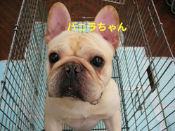 DSCN2430