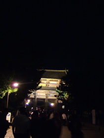 126177aa.jpg