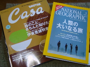 9619509f.jpg