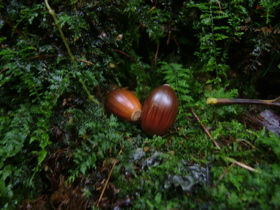 e9055002.jpg