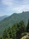 IMG_5929