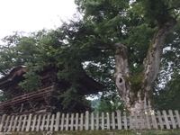 IMG_6732