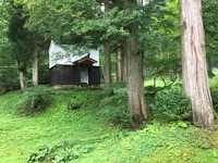 IMG_6677