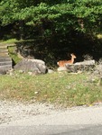 IMG_5776