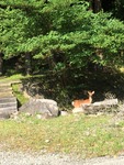IMG_5779