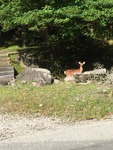 IMG_5777