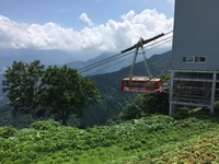 IMG_6601