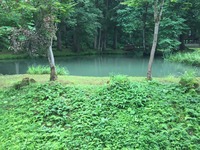 IMG_6683