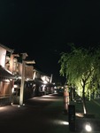 IMG_5596