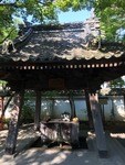 IMG_5785