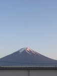 IMG_5793