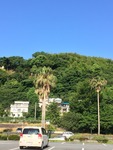 IMG_5606