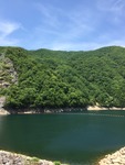 IMG_5845