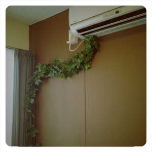 写真 2013-08-23 13 31 05