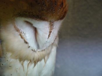 P1090278_convert_20140902220357