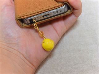 New Image6_R