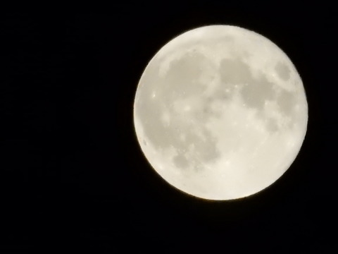 DSCN1236