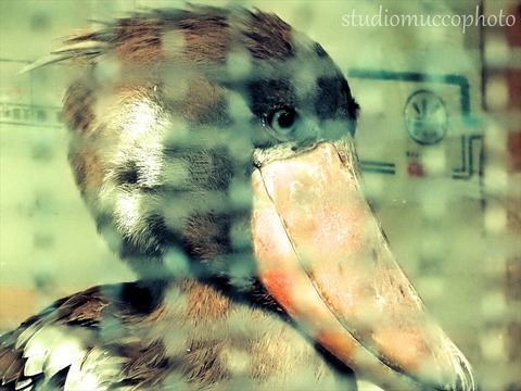 New Image5_R