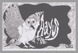 ayus