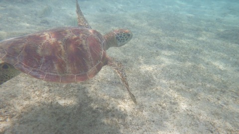 IMGP0760