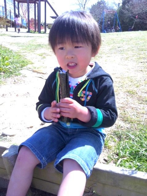 写真7