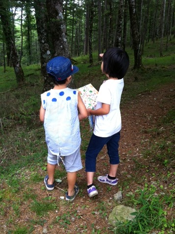 写真 (8)