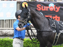 20170625 東京11R パラダイスS 3歳上(OP) ショウナンアチーヴ 11