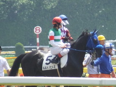 DSCF5350