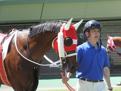 20140517 東京7R ショウナンアポロン 04