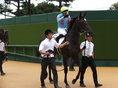 20160911 中山5R 2歳メイクデビュー ダンスウィズユー 12