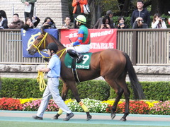 20151031 東京11R アルテミスS(G3) テイケイレーヴ 10