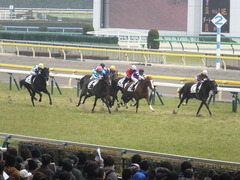 20150222 東京5R 3歳メイクデビュー シンディーア 11