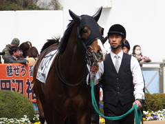20150321 中山5R 3歳未勝利 ロジダーリング 02