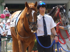 20150425 京都3R 3歳未勝利 モーグリ 06