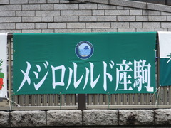 20150621 東京10R 芦ノ湖特別 マッサビエル 01