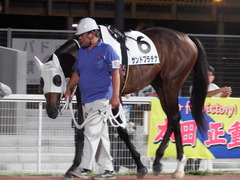 20180919 セプテンバーS B1B2 サンドプラチナ 03