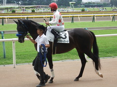 20180617 東京8R (500) ミッキーバード 18