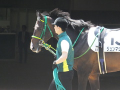 20170430 東京5R 3歳未勝利 ジュンマシュウ 07