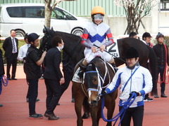 20180331 阪神3R 3歳未勝利 テンノカガヤキ 23