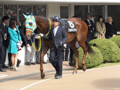20150322 中山9R 幕張S(1600) アルマディヴァン 09