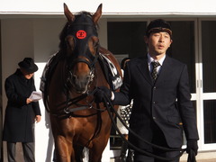 20161224 中山10R クリスマスカップ(1000) オウケンブラック 04