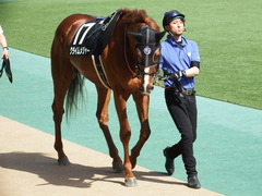 20180429 東京10R 晩春S(1600) クライムメジャー 05