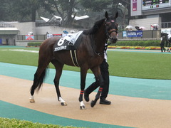 20141012 東京10R レジェンドTC オウケンブラック 07